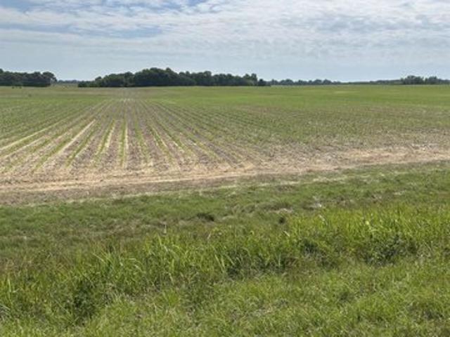 Farm for sale in Unadilla, Georgia