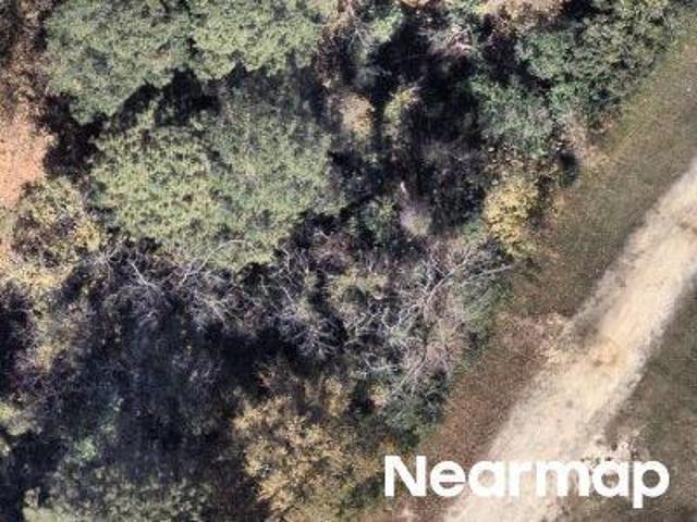 Land for sale in Effingham, South Carolina