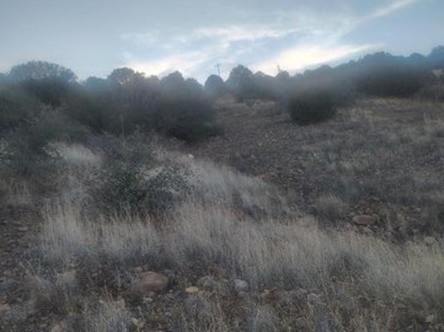 Land for sale in Bayard, New Mexico
