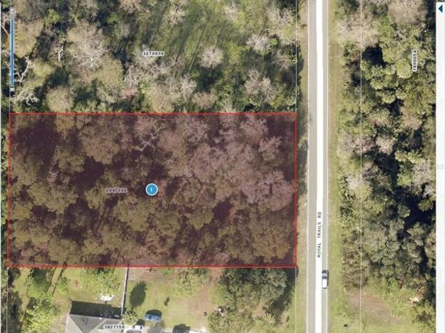 House for sale in Eustis, Florida