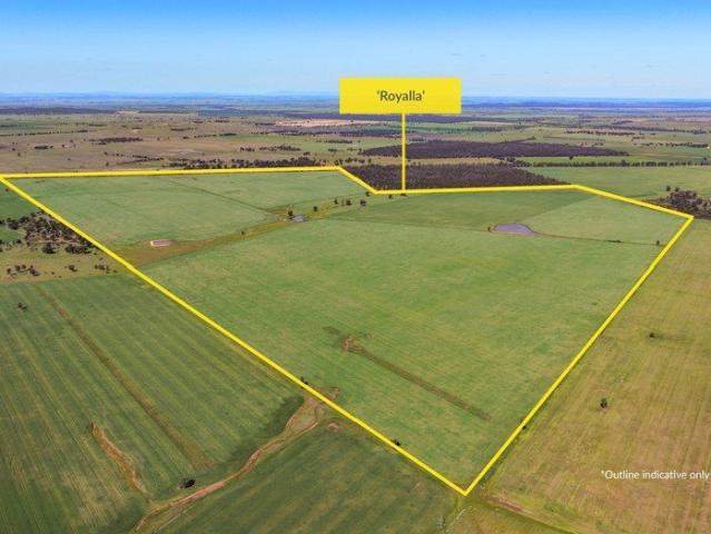 Property for sale in West Wyalong, New South Wales