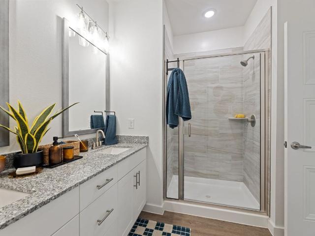 Apartment for rent in Prosper, Collin County