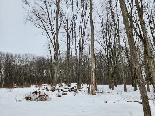 Land for sale in Ohio