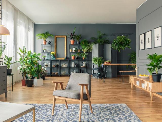 Appartement vente à Rochefort, Royan