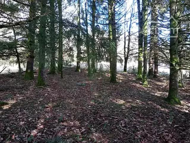 Terrain vente à Royère-de-Vassivière, Creuse