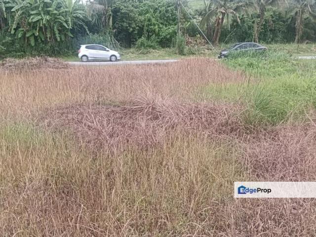House for sale in Perak, Tanjong Ipoh