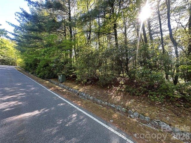 Land for sale in Transylvania, North Carolina