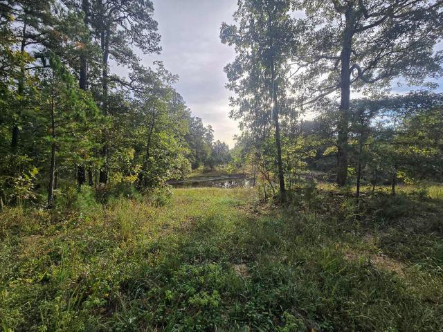 House for sale in Cabool, Missouri