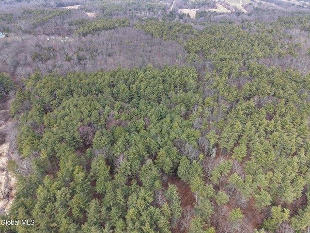 Land for sale in Town of New Baltimore, Greene County