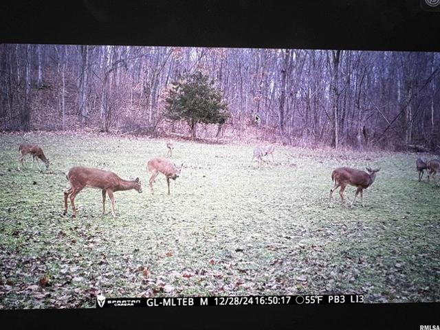 Land for sale in Rushville, Illinois