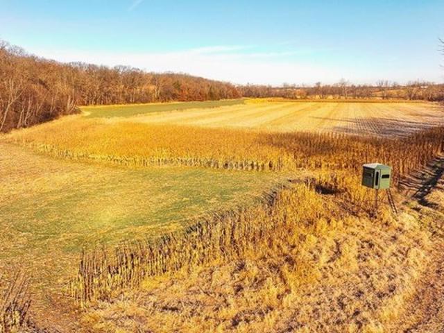 Farm for sale in Adams, Illinois
