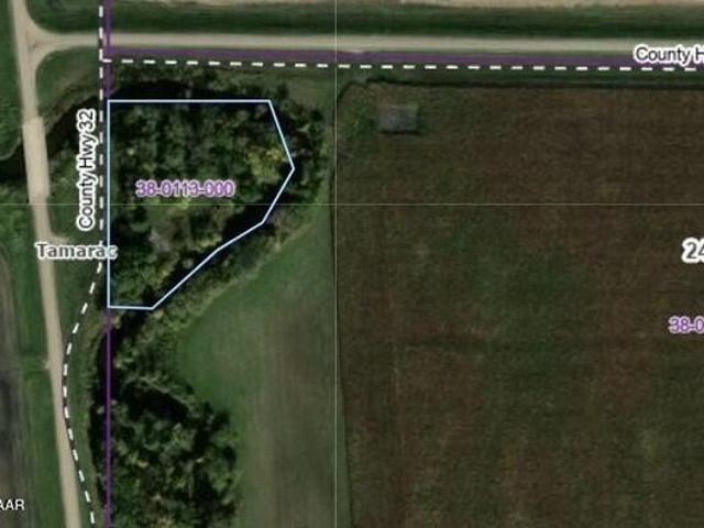 Land for sale in Argyle, Minnesota