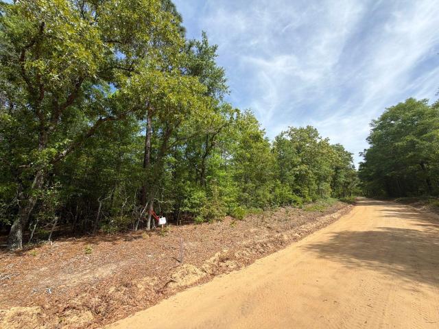 Land for sale in Aiken, South Carolina