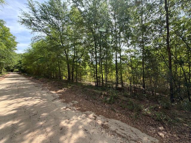 Land for sale in Aiken, South Carolina