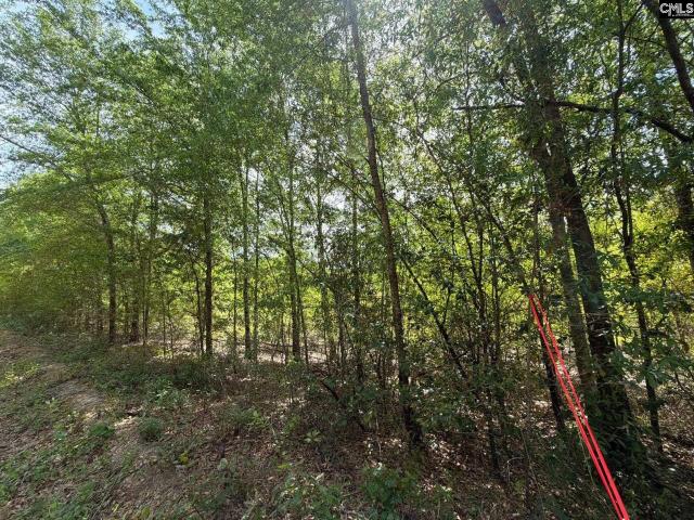 Land for sale in Aiken, South Carolina