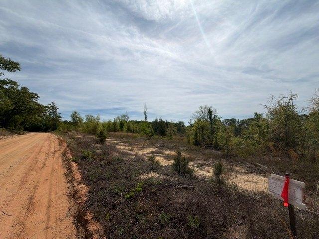 Land for sale in Salley, Aiken County
