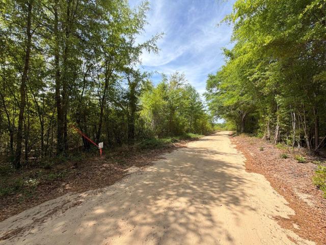 Land for sale in Salley, Aiken County