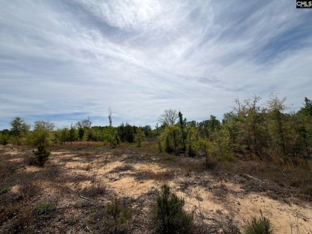Land for sale in Aiken, South Carolina
