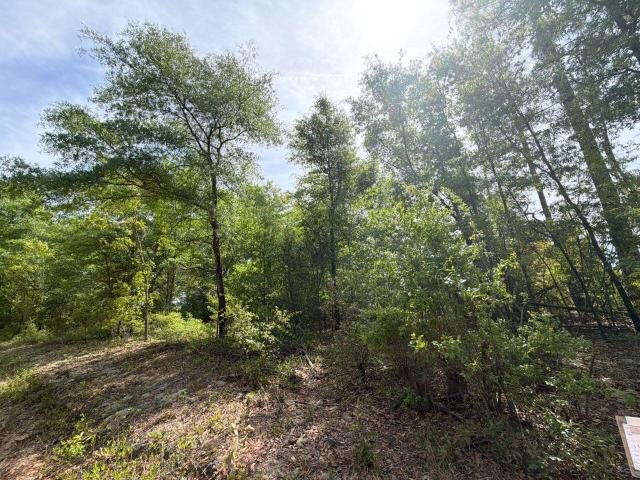 Land for sale in Aiken, South Carolina