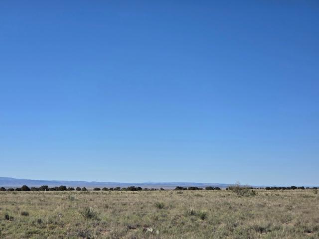 Land for sale in Magdalena, New Mexico