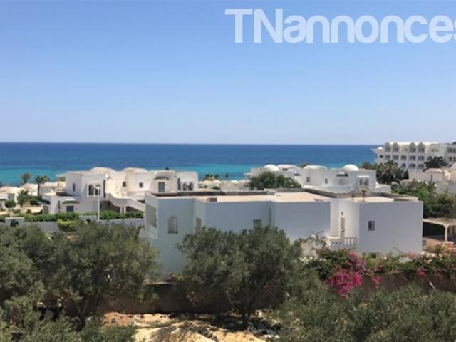 Appartement vente