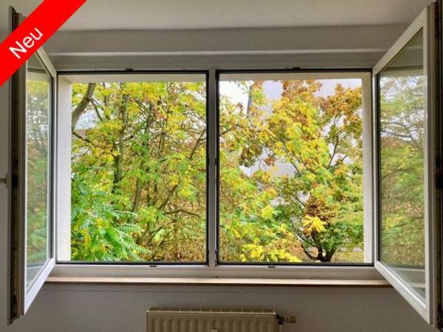 Wohnung kaufen in Weißenfels, Burgenlandkreis