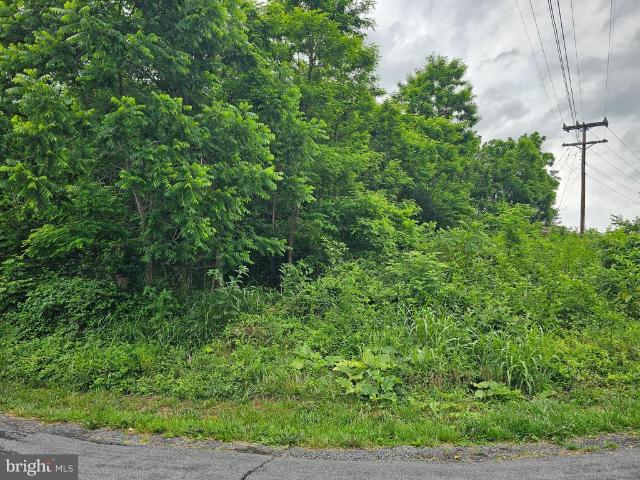Land for sale in Virginia