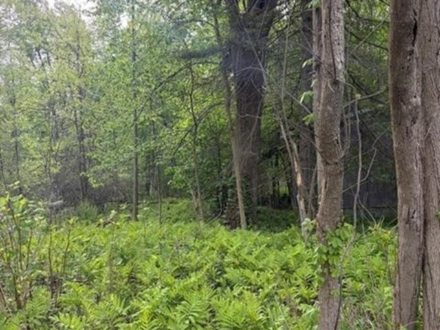 Land for sale in Oneida, New York