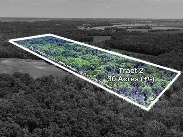 Land for sale in Bond, Illinois