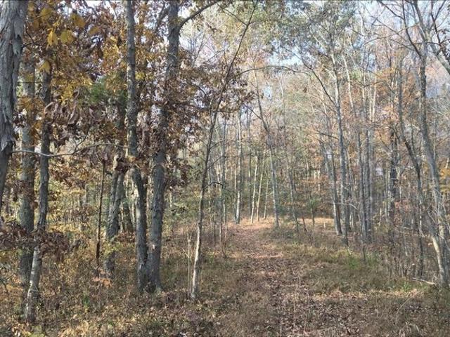 Land for sale in Wayne, West Virginia