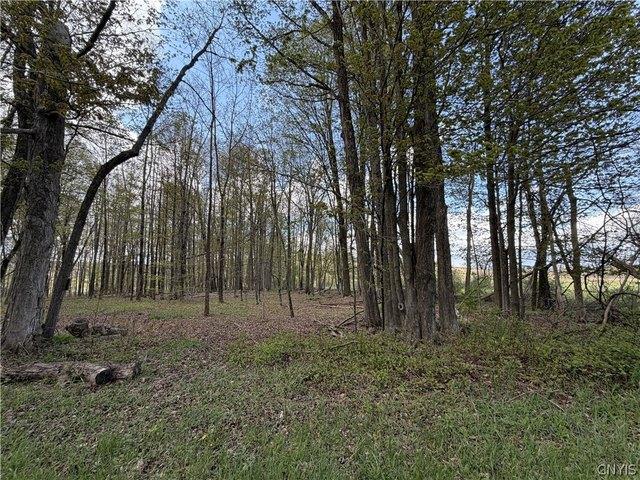Land for sale in Jordanville, New York