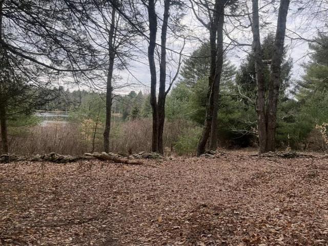 Land for sale in Bethel, New York