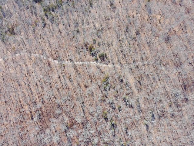 Land for sale in Ava, Missouri