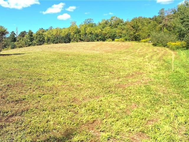 Land for sale in Cohocton, New York