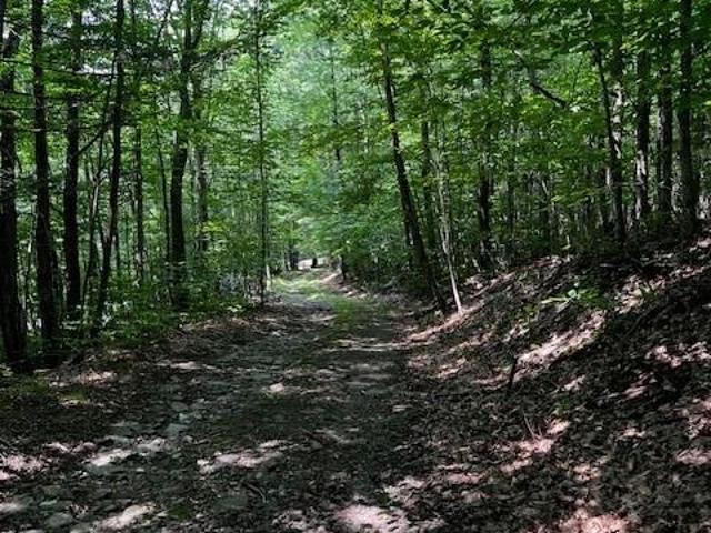 Land for sale in Downsville, New York
