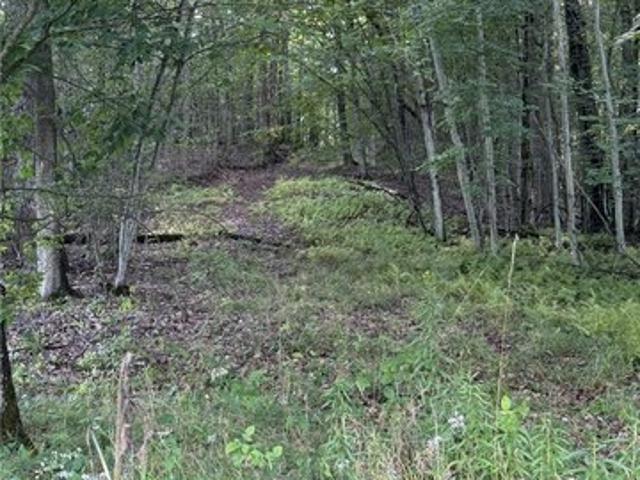 Land for sale in Derrick City, Pennsylvania