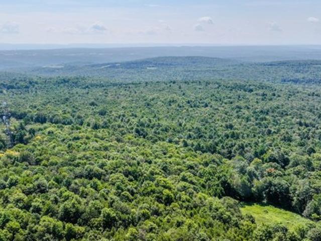 Land for sale in Ebensburg, Pennsylvania