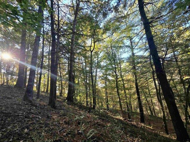 Farm for sale in Center Point, Doddridge County