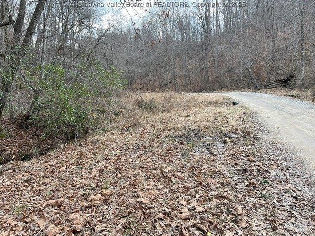 Land for sale in Spurlockville, West Virginia