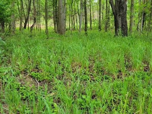 Land for sale in Sligo, Pennsylvania