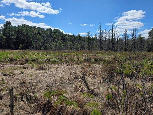 Land for sale in Richford, New York