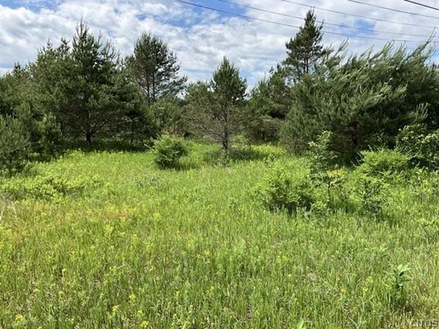 Land for sale in Town of Pitcairn, Town of Fowler