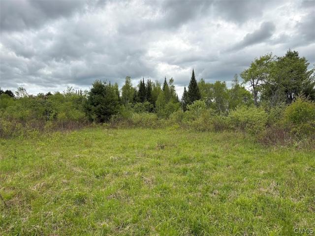 Land for sale in Cold Brook, New York
