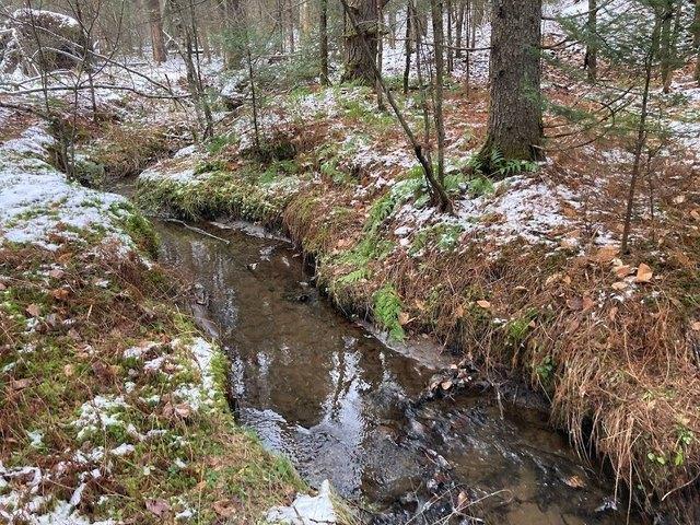 Land for sale in Cold Brook, New York