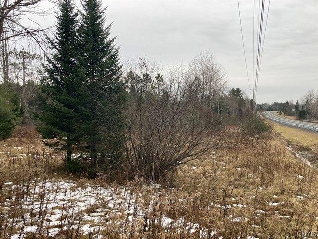 Land for sale in Cold Brook, New York