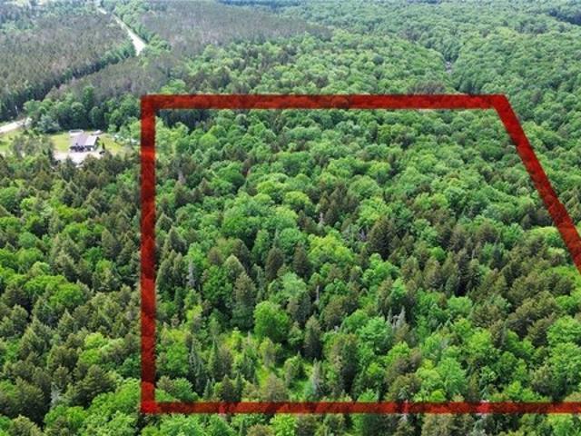 Land for sale in Cold Brook, New York