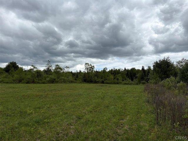 Land for sale in Cold Brook, New York
