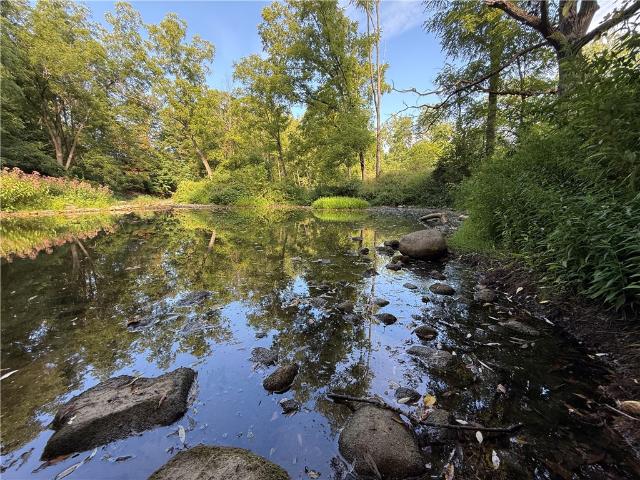 Land for sale in Cayuga, New York