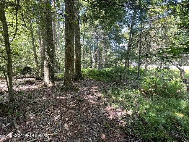 Land for sale in Wagners, Tobyhanna Township