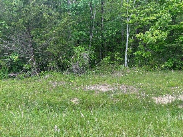 Land for sale in Tennessee